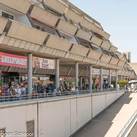 Silbermoewe * Schilksee