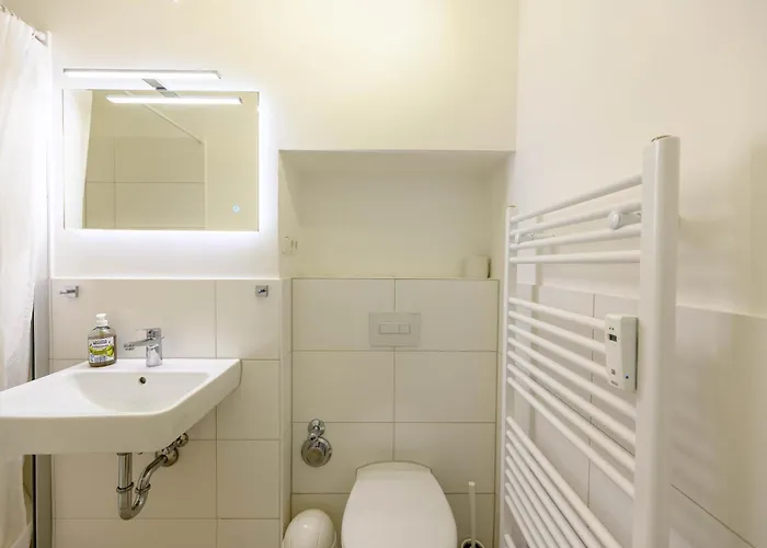 Silbermoewe * Schilksee