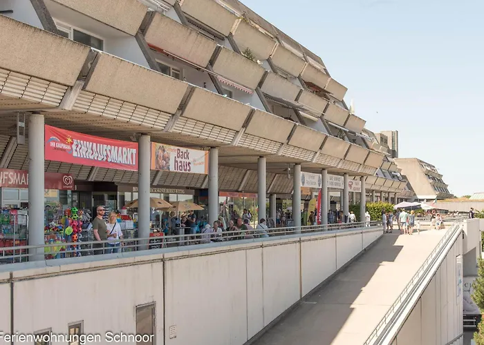 Silbermoewe * Schilksee